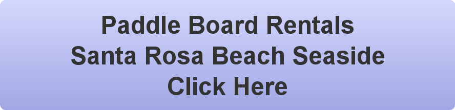 paddle board rental seaside santa rosa beach, grayton beach, watercolor, seagrove, alys beach, rose mary beach